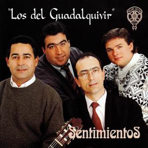 Sevillanas del Bosque