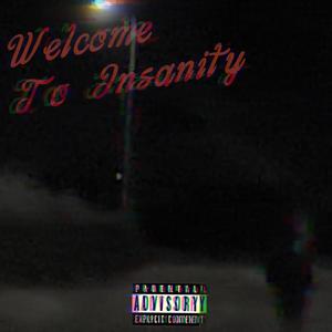 Welcome To Insanity (Explicit)