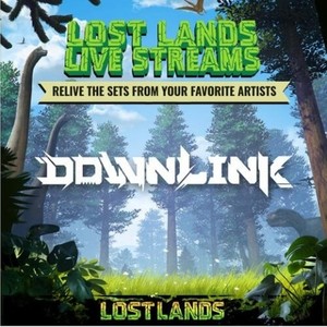 Downlink Live @ Lost Lands 2017