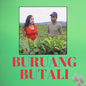 Buruang Butali