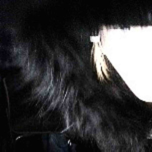 Mitsu - teeth