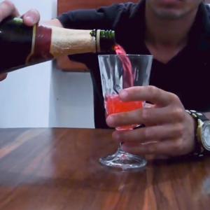 Intro Fenix (feat. Nelbany)