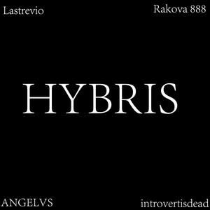 Hybris (feat. Rakova) [Explicit]