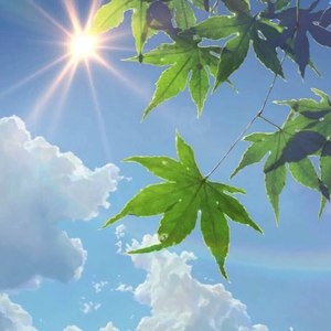 写给风的一封信