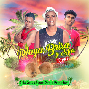 Playa, Brisa y Mar (Remix)