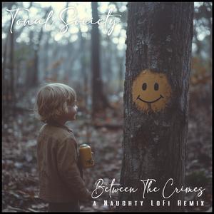 Between The Crimes (feat. Moonphase & Evan Lane) (Remix)