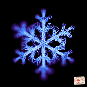 what if we both loved each other still?