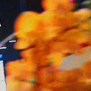 wowSUPRA (feat. Jŭzzi Lauren) (Explicit)