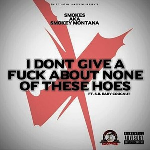 I Don't Give a **** About None of These Hoes (Explicit)