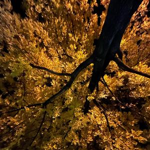 love ***** (Explicit)