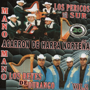 20 Exitos Agarron De Harpa Nortena, Vol.2