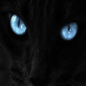 Beat dembow dominicano 2023