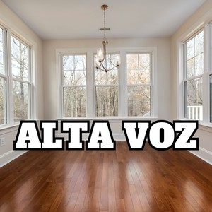alta voz