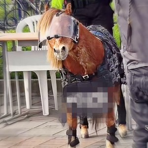 NoOoOO La Politzia Nooo (TUNG TUNG TUNG SAHUR)