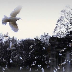 心做 (DJ顾心羽版)