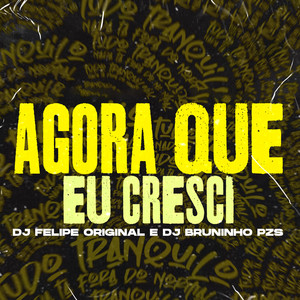 Agora Que Eu Cresci (Explicit)