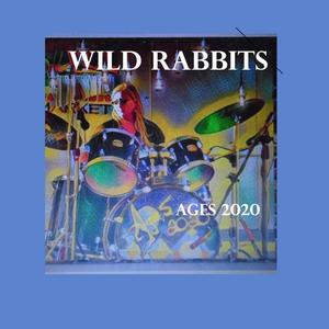 Wild Rabbits (Explicit)