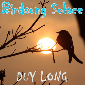 Birdsong Solace