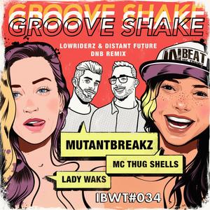 Groove Shake (Original Mix)