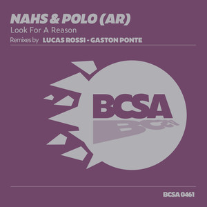 Look for a Reason (Gaston Ponte Remix)