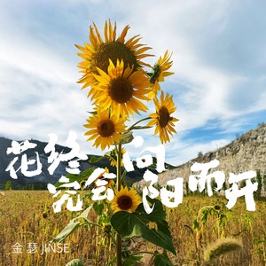 花终究会向阳而开