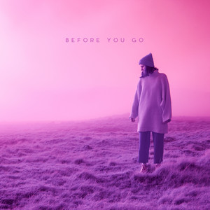 Before You Go