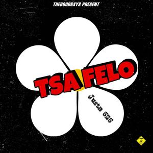 Tsa Felo (feat. Justa626, TallexQ & Major Maduna)