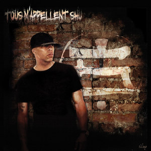 Comme vous(feat. Akhenaton & Saïd)