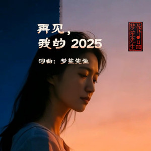 再见，我的 2025