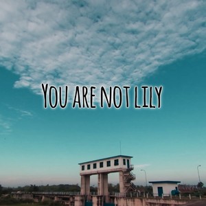 You Are Not Lily