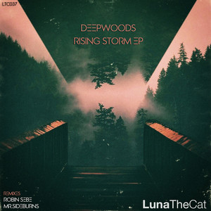 Rising Storm EP