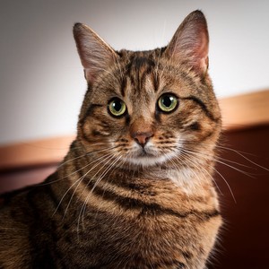 The Calm of Watching the Stars