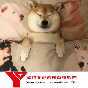 Cu chill thoi (越南鼓)