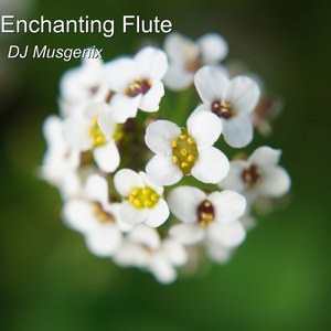 Enchanting Flute