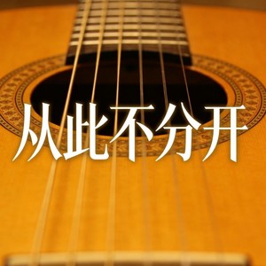 从此不分开