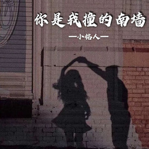 你是我撞的南墙