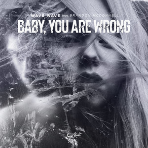 Baby, You Are Wrong (feat. Brandon Mcdonnell)