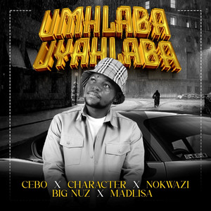 Umhlaba Uyahlaba (feat. Character & Madlisa)