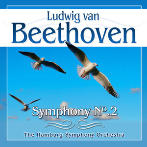 Symphony No. 2 in D Major, Op. 36 - I. Adagio molto, Allegro con brio (D大调第2号交响曲，作品36 - 第一乐章 很慢的柔板，有活力的快板)