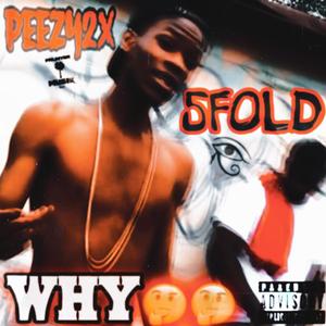 Why (feat. 5Fold) [Explicit]