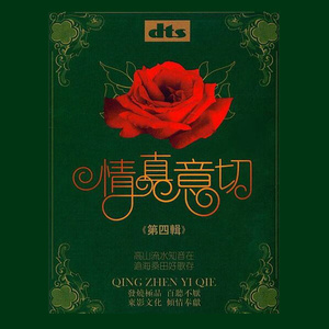 流着泪的你的脸封面