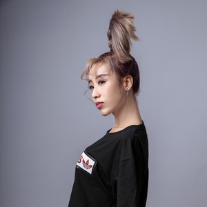 也许这世界已没有我 (DJ版)