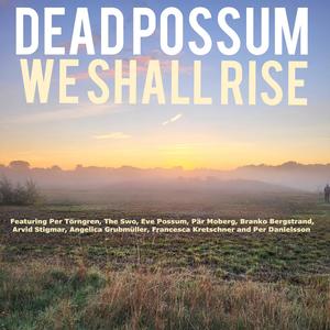 We Shall Rise (feat. Pär Moberg, Arvid Stigmar, Per Danielsson, The Swo, Eve Possum, Angelica Grubmüller & Francisca Kertzschner) (Per Törngren Remix)