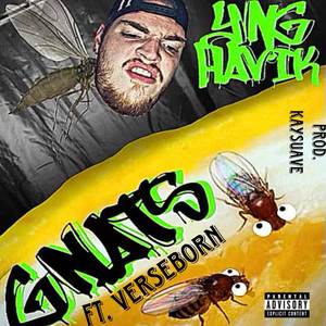 GNATS (Explicit)