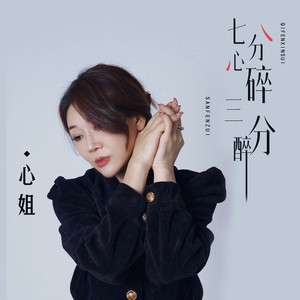 心姐 - 七分心碎三分醉 (DJheap九天伴奏版)