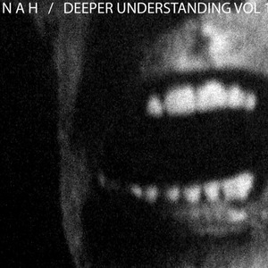 DEEPER UNDERSTANDING VOL. 1