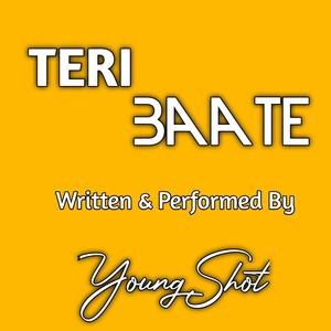 TERI BAATE
