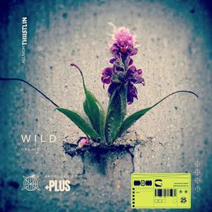 Wild Orchid (Explicit)