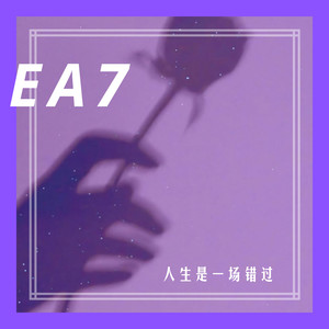 星语心愿 (DJ版)