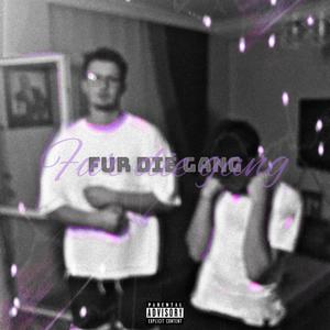 Fur die gang(feat. Cemotion) (Explicit)